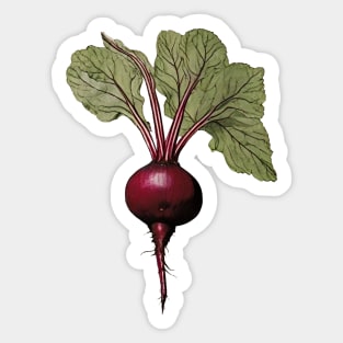 Beet Sticker